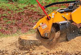 Best Arborist Consultation Services  in East Oakdale, CA
